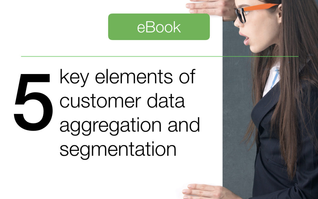 5 key elements of customer data aggregation and segmentation