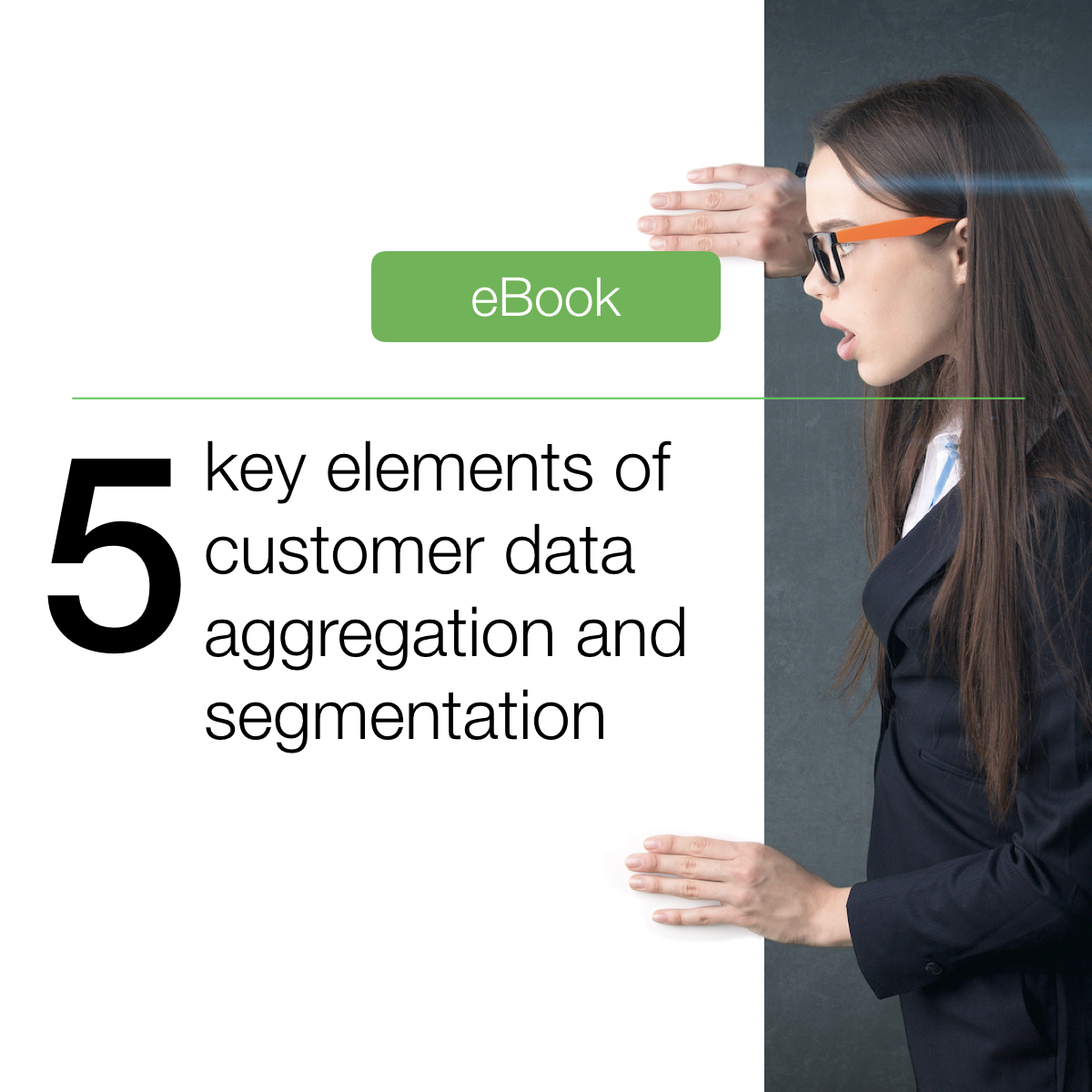 5 key elements of customer data aggregation and segmentation
